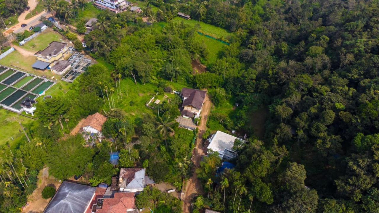 Vythiri Villas Wayanad المظهر الخارجي الصورة