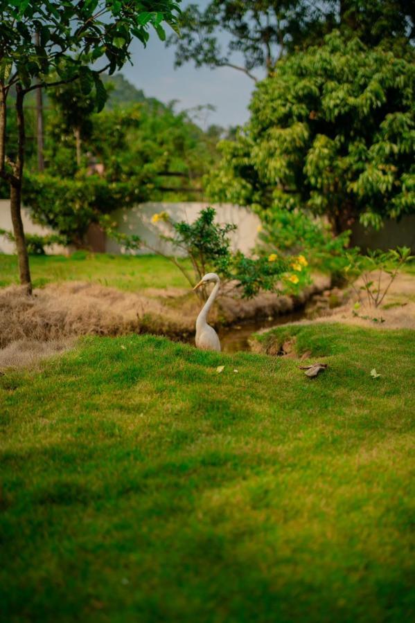 Vythiri Villas Wayanad المظهر الخارجي الصورة